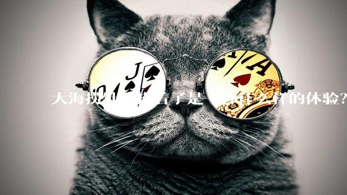 大海捞针还捞着了是一种什么样的体验？