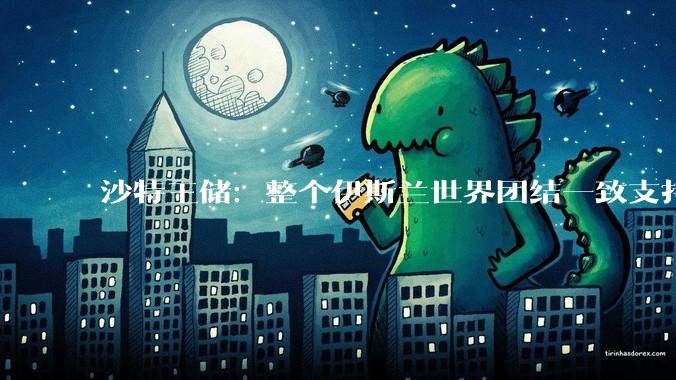 沙特王储：整个伊斯兰世界团结一致支持伊朗，你怎么看？