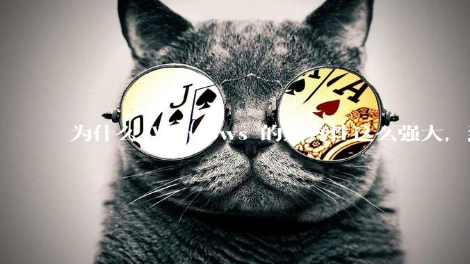 为什么 Windows 的兼容性这么强大，到底用了什么技术？