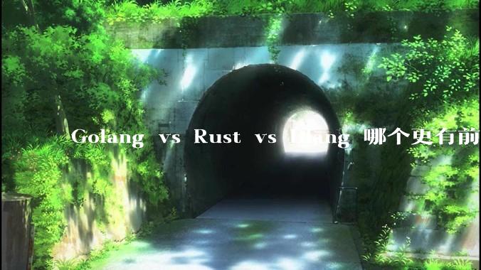 Golang vs Rust vs Dlang 哪个更有前途，哪位大牛这 3 门语言都用过？