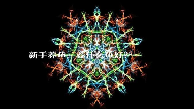 新手养鱼，养什么鱼好？