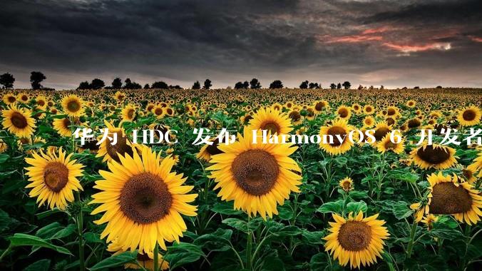 华为 HDC 发布 HarmonyOS 6 开发者 beta 版对应用开发者和鸿蒙生态有哪些影响？